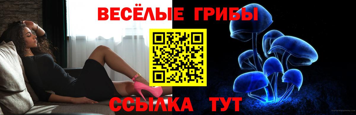 Псилоцибиновые грибы ЛСД  Галлюциногенные грибы GOLDEN TEACHER  Вход с VPN  Свободный 